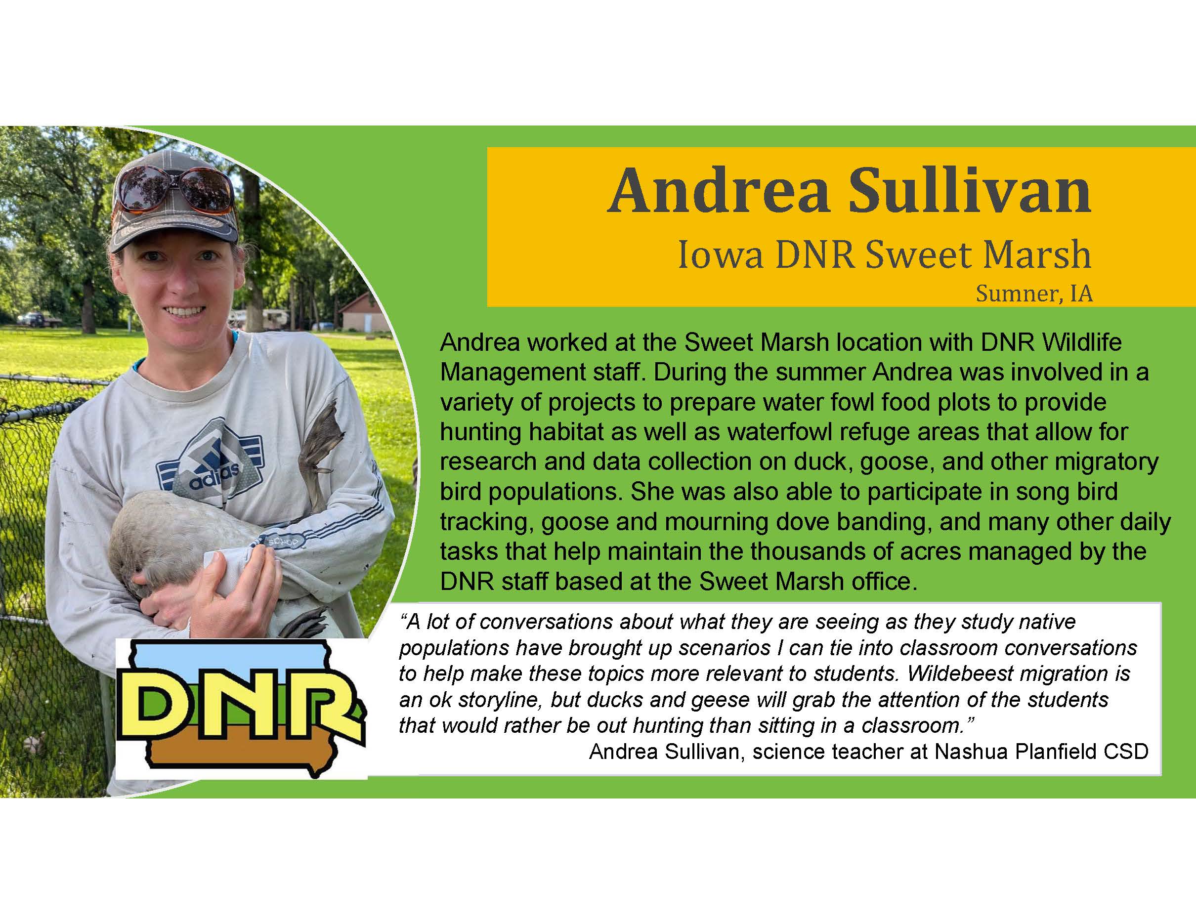 Andrea Sullivan